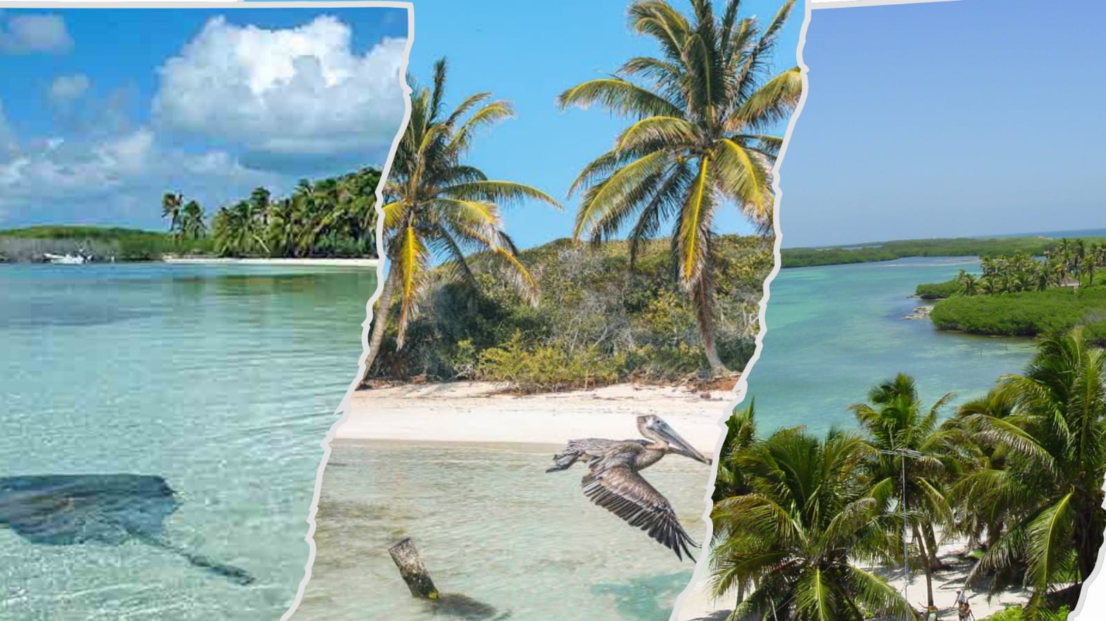 Explore Isla Contoy The Uninhabited Island Sanctuary