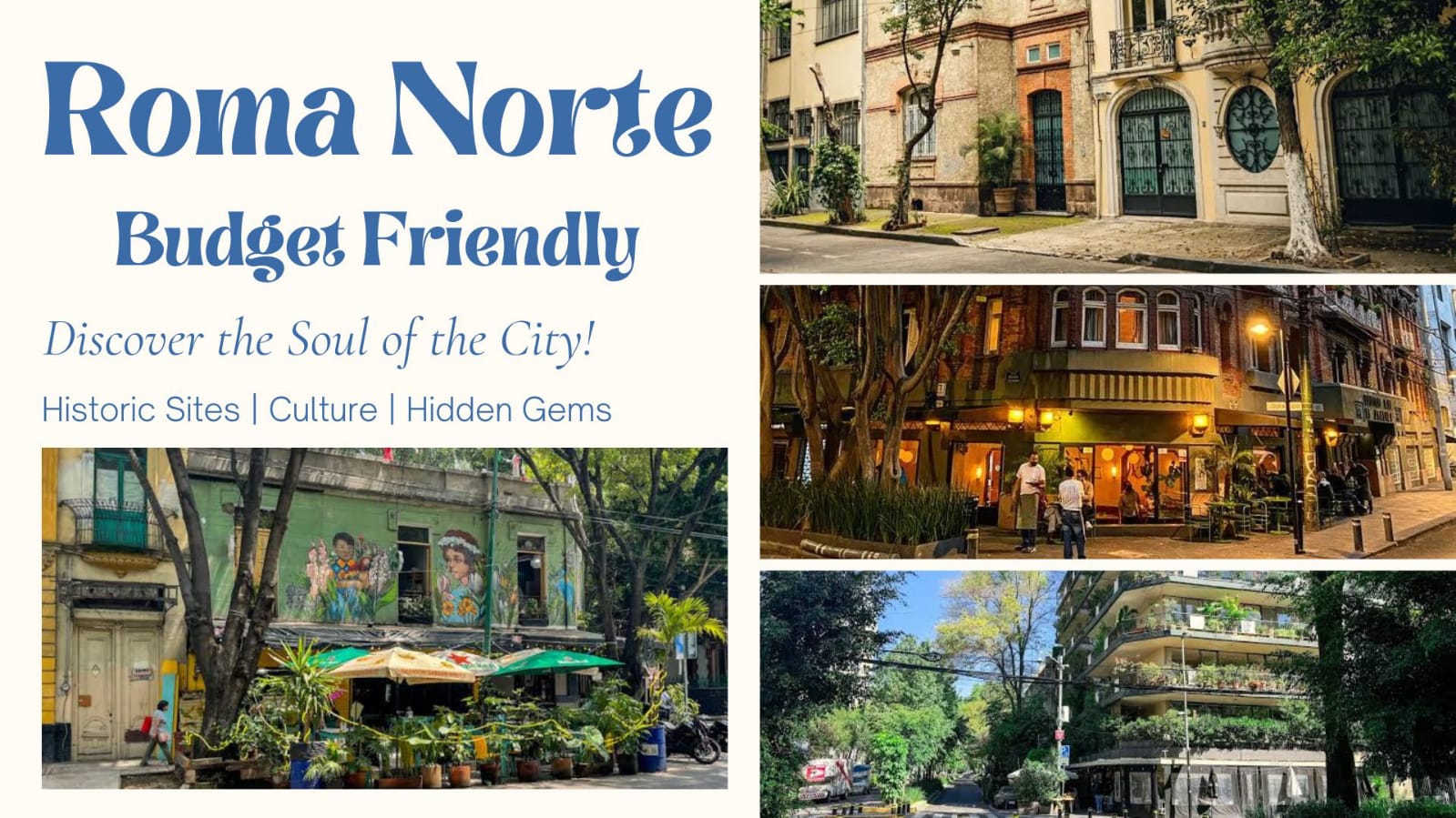 Budget-Friendly Areas in Mexico City Roma Norte travel guide 2026